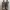 Nike Air Jordan Streetwear Sneakers Pria tan photo 2