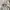 Japanese brand Streetwear Y2K Windbreaker Pria white black photo 7