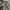 Japanese brand Biker Casual Casual shirt Pria gray photo 4