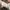 Reebok Casual Sneakers Pria white photo 4