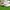 Reebok Casual Sneakers Pria white photo 3