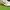 Reebok Casual Sneakers Pria White