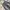 Streetwear Skater Jeans Pria gray photo 4