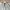 Streetwear Skater Sweatpants & Joggers Pria gray photo 4