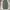 Streetwear Skater Sweatpants & Joggers Pria green photo 2