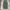 Streetwear Skater Sweatpants & Joggers Pria green photo 3