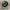 Streetwear Skater Hat Pria green photo 3