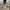 Zara Vintage Streetwear Parka Pria brown photo 2