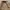Zara Vintage Streetwear Parka Pria brown photo 6