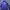Nike Sportswear Hoody Pria purple photo 1