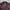 Japanese brand Luxury Avant Garde Blazer Pria brown photo 2