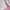 Lolita Fairy Bodycon dress Wanita white pink photo 4