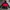 Nike ACG Streetwear Gorpcore Fleece Pria black red photo 8