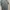 Adidas Sportswear Jersey Pria gray photo 2