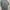 Adidas Sportswear Jersey Pria Gray