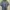 Adidas Sportswear Jersey Pria gray photo 1