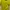 Puma Sportswear Jersey Pria Yellow