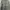 Adidas Sportswear Jersey Pria Gray