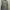 Adidas Sportswear Jersey Pria gray photo 2