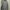 Adidas Sportswear Jersey Pria Gray