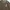 Casual Hoody Pria brown photo 2