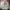 Vintage Streetwear Hoody Pria white photo 1
