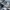 Adidas Indie Casual Sneakers Wanita multicolor photo 4