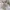 Star Wars Casual Hoody Pria cream photo 4