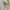 Star Wars Casual Hoody Pria cream photo 5