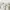 Zara Minimalist Casual Short Wanita white photo 3