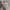 Global Work Streetwear Y2K Hoody Pria gray photo 1