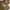Dickies Vintage Y2K Hoody Pria brown photo 1