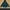 Japanese brand Streetwear Y2K Hoody Pria green photo 3