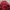Puffer jacket Wanita red photo 6
