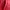 Puffer jacket Wanita red photo 3
