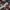 Streetwear Skater Windbreaker Pria burgundy brown photo 2