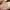 Pull & Bear Casual Casual shirt Pria multicolor photo 4