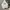 Streetwear Y2K Hoody Pria gray photo 2