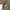Avant Garde Casual Harrington jacket Pria green tan photo 5
