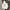Streetwear Y2K Hoody Pria Gray