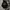 Streetwear Y2K Hoody Pria black photo 1