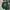 Streetwear Y2K Sweater Pria Green