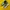 New Balance Streetwear Sneakers Pria green photo 1