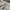 Calvin Klein Streetwear Y2K Formal Pants Pria Cream