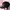 New Era Streetwear Sportswear Hat Pria Black