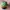 Streetwear Cosplay Hat Pria green photo 4