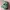 Streetwear Cosplay Hat Pria green photo 1