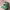 Streetwear Cosplay Hat Pria Green