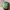 Streetwear Cosplay Hat Pria Green