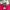 Dolce & Gabbana Y2K Luxury T-shirt Wanita pink photo 3
